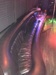Party Bus (33)