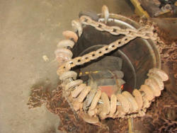 DR 4684 (3)