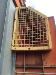 BR 4918 (11)