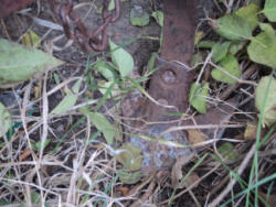 DSC00179