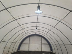 DR-4959 (4)
