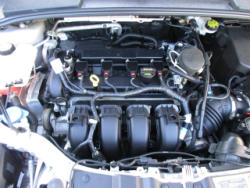 TR 2480 (31)