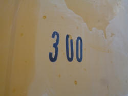 DSC07419