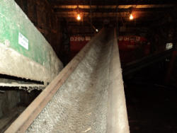 NP3531-03