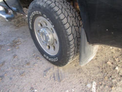 TR 2460 (12)