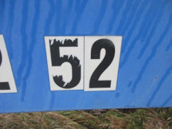DR-5196 (3)