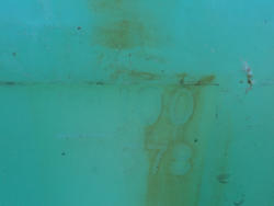 DSC05426