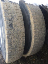 EG109 (24)