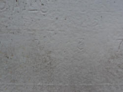 DSC09675