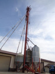 DSC00884