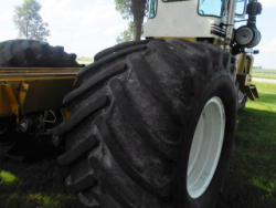 EG165 (7)