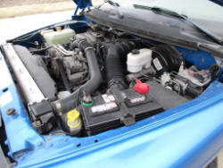 TR 3032 (39)