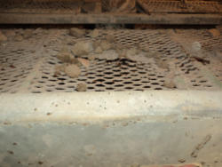 DSC08624