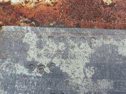 DSC07907