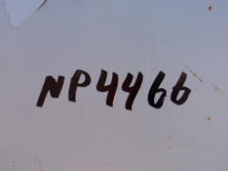 DSC09955