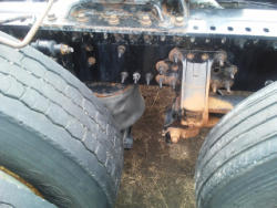 KMK250 (34)