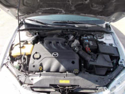 PD288 (20)