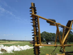 RMC 066 (20)