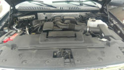 PD316 (24)