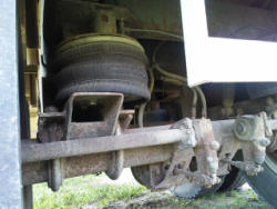 CG261 (19)
