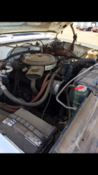 TC137 (14)