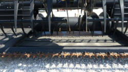 EG229 (5)