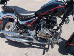 PD395 (5)