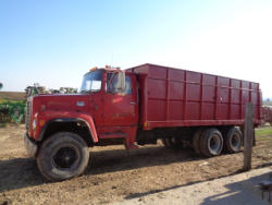 EG246 (13)
