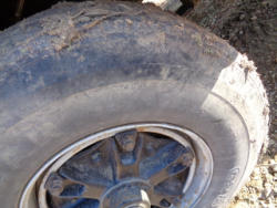 EG246 (14)