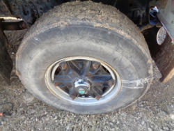 EG246 (16)