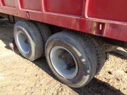 EG246 (19)