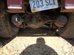 EG246 (21)
