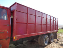 EG246 (22)