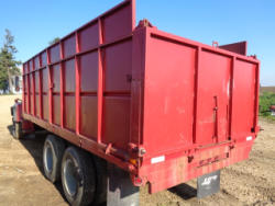 EG246 (25)