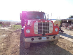 EG246 (4)