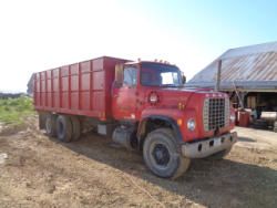EG246 (5)