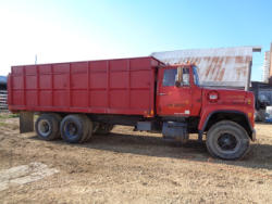EG246 (6)
