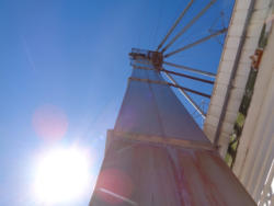 DSC05878