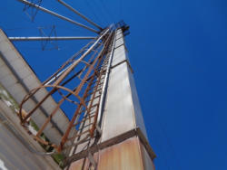 DSC05881
