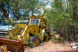 auction-item