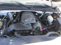 TR3523 (22)