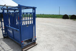 EG259 (2)
