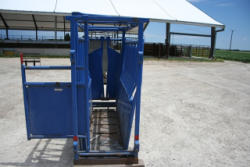 EG259 (3)