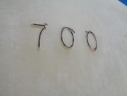 DSC06602