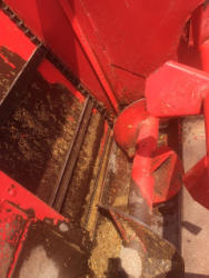 EG265 (4)