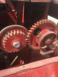EG264 (13)