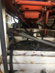 EG262 (12)