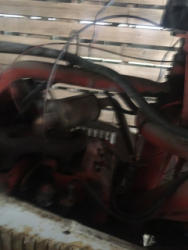 EG262 (5)