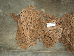 DSC07648
