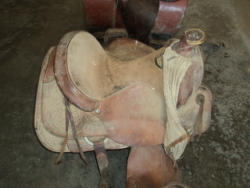 DSC07804